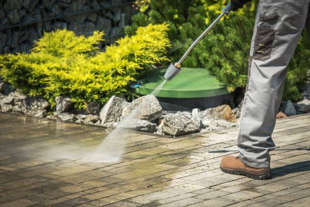 Best Animal Enclosure Cleaning  in Uvalde, TX
